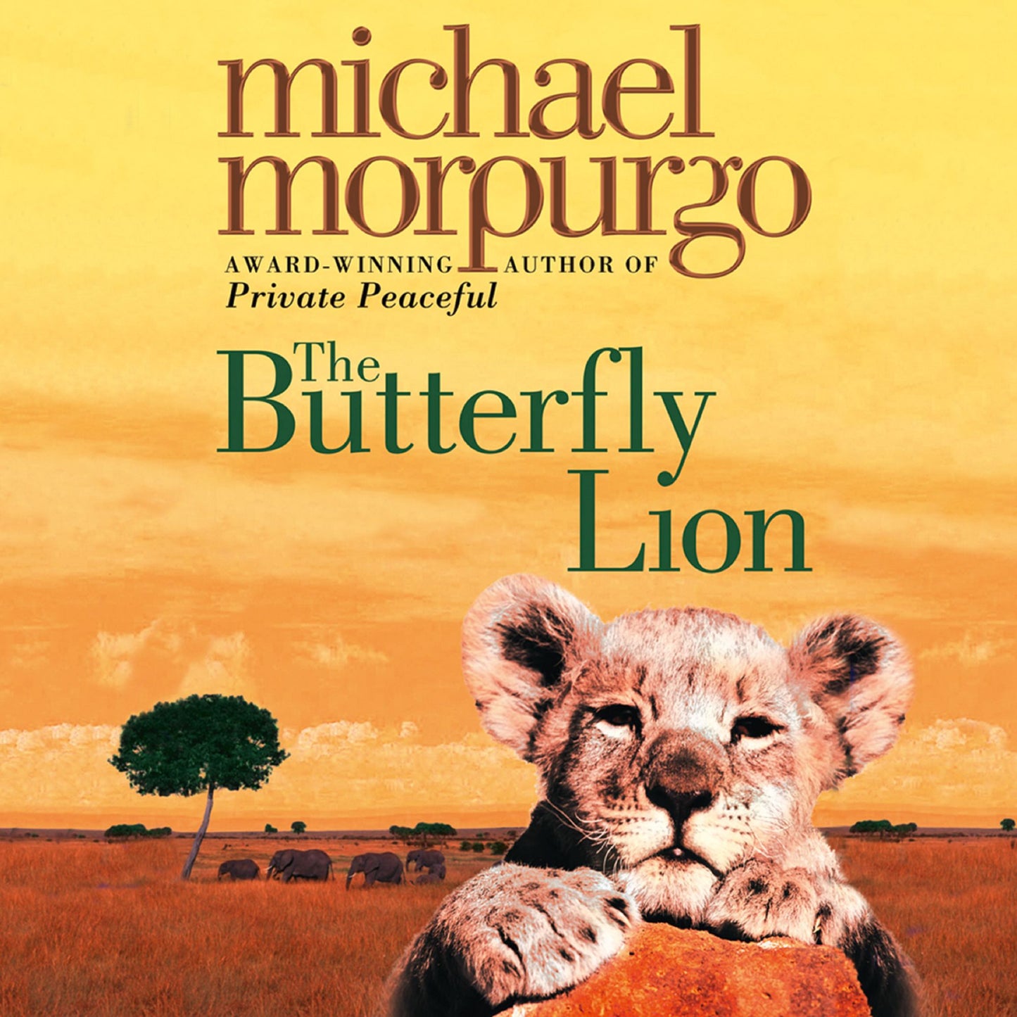 The Butterfly Lion