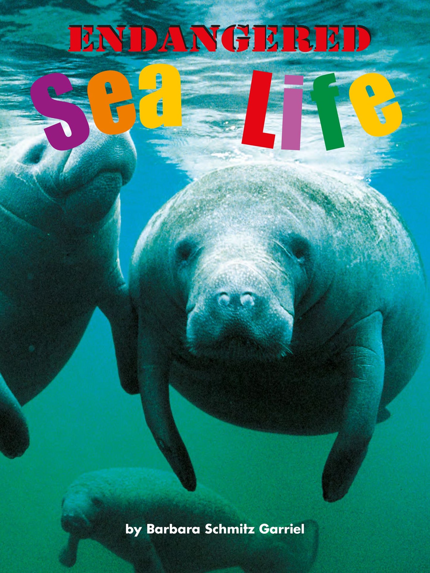 Endangered Sea Life
