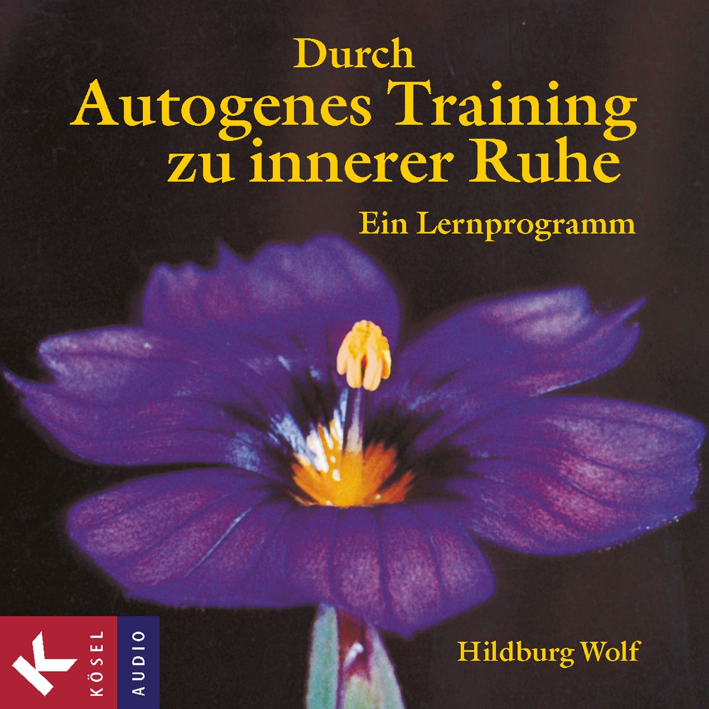 Durch Autogenes Training zu innerer Ruhe: Ein Lernprogramm