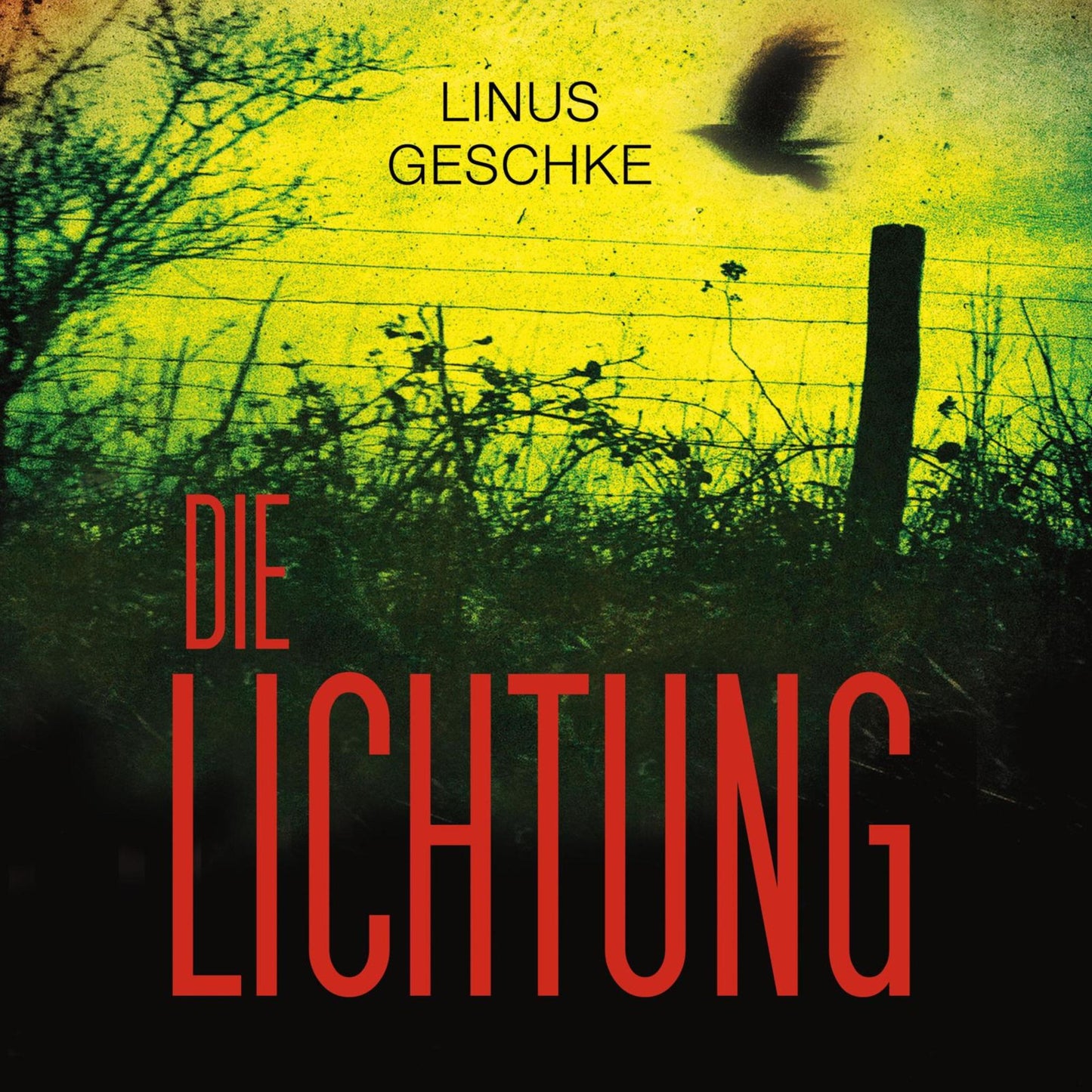 Die Lichtung