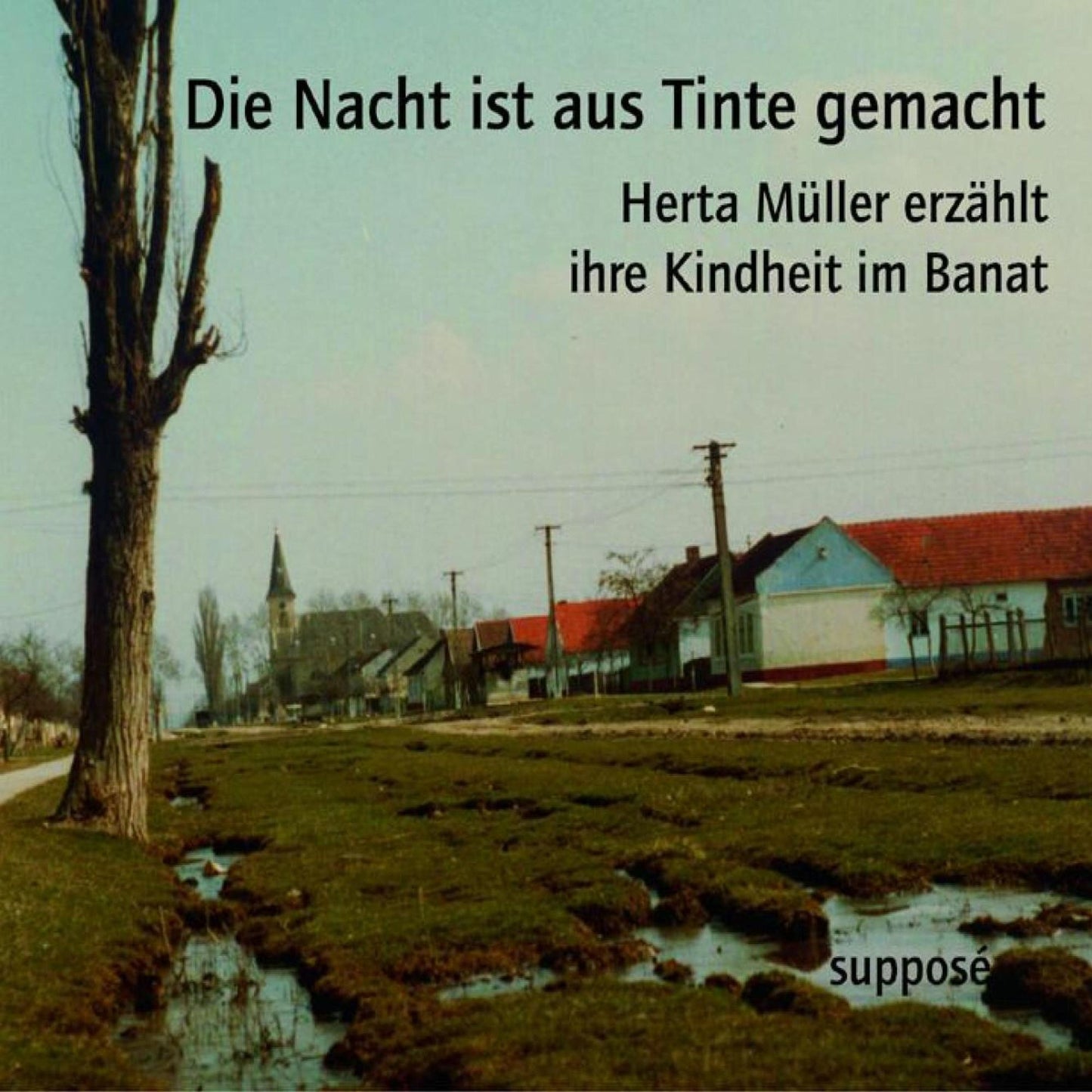 Die Nacht ist aus Tinte gemacht: Herta Müller erzählt ihre Kindheit im Banat (Abridged)