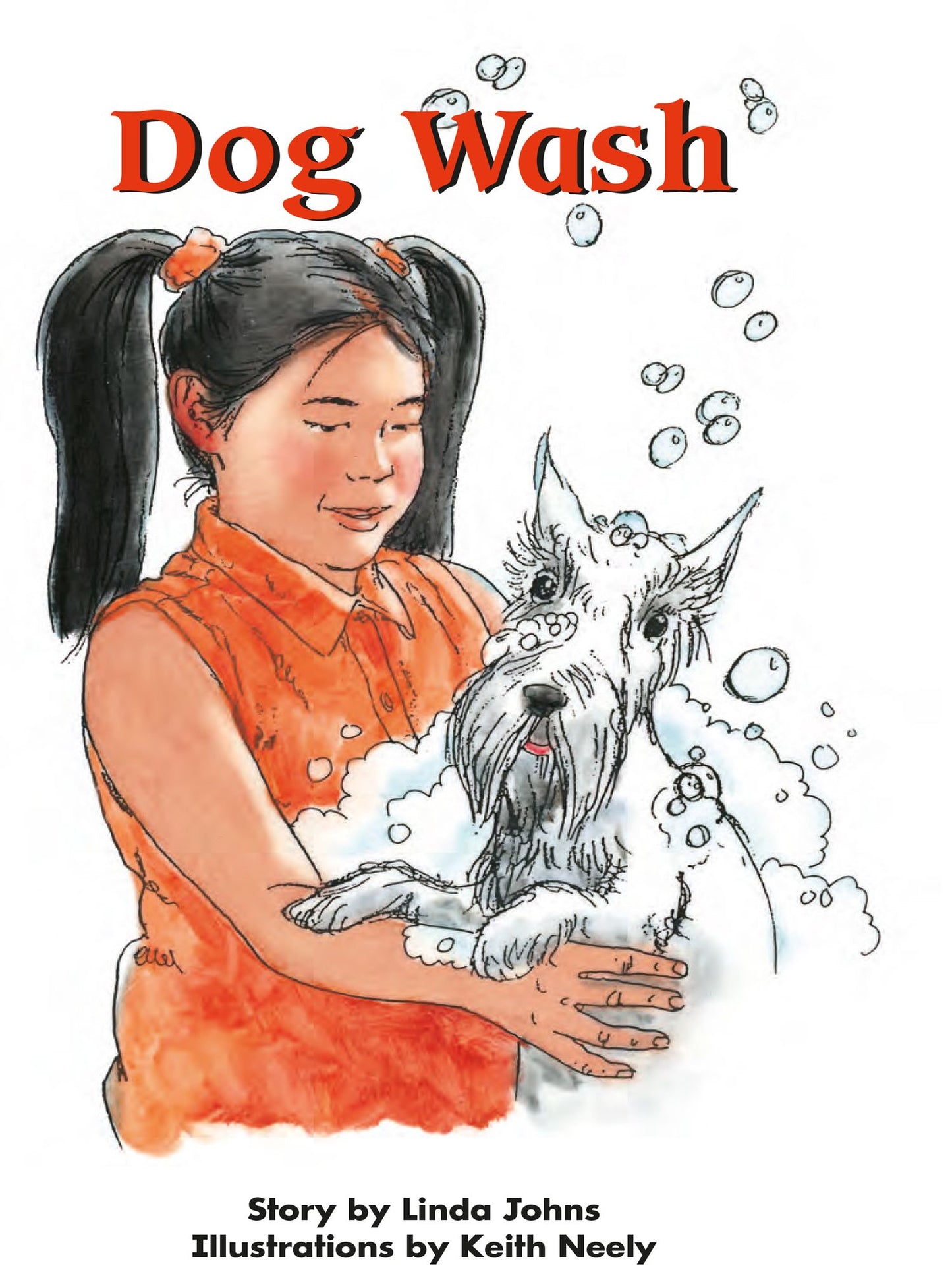 Dog Wash