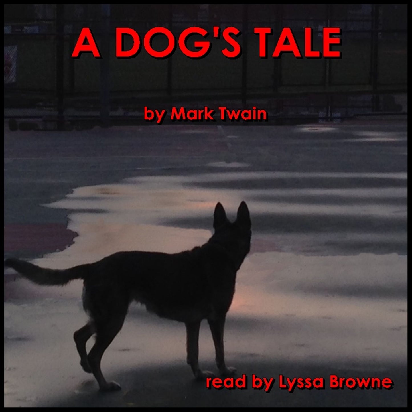 A Dog's Tale