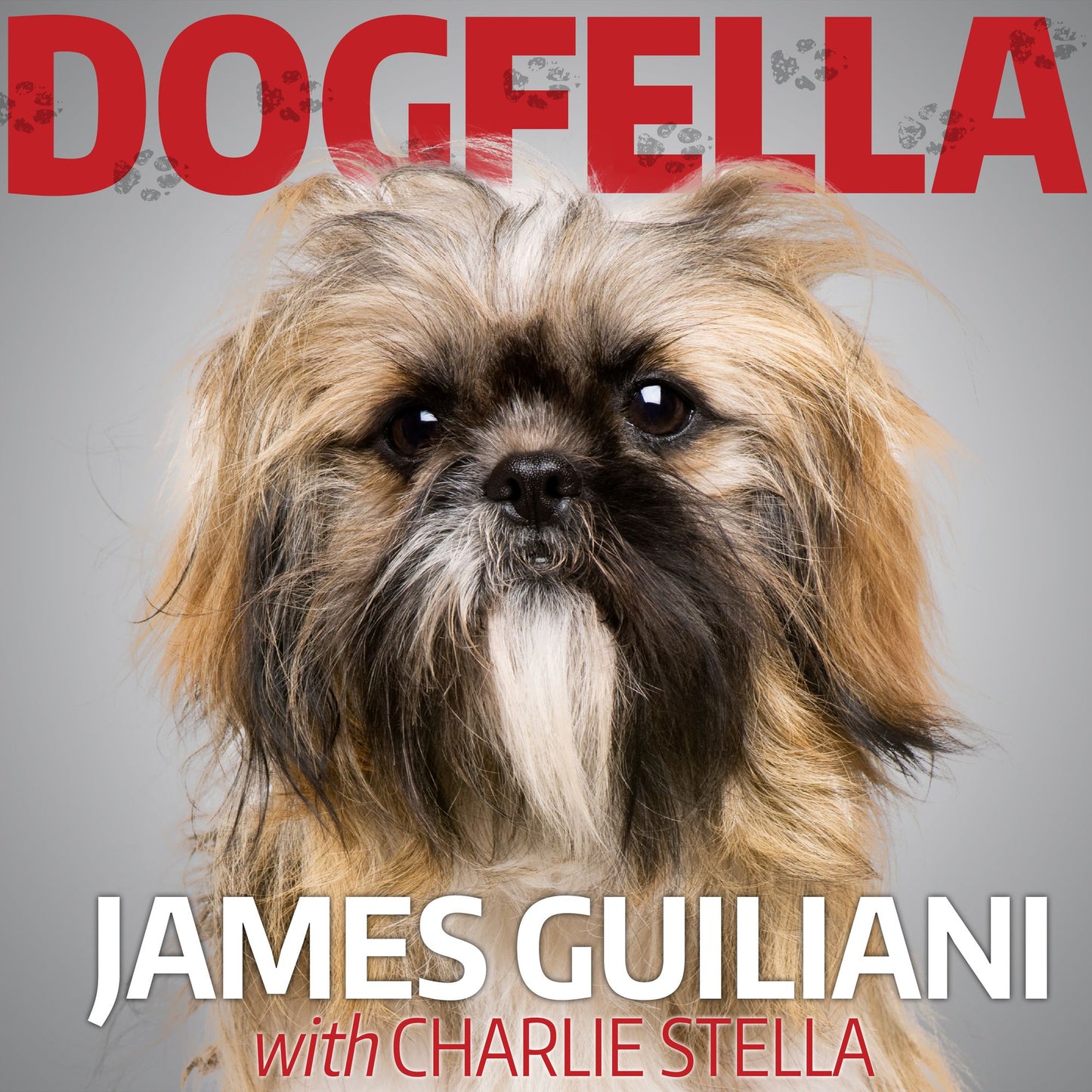 Dogfella: How an Abandoned Dog Named Bruno Turned This Mobster's Life Around-a Memoir