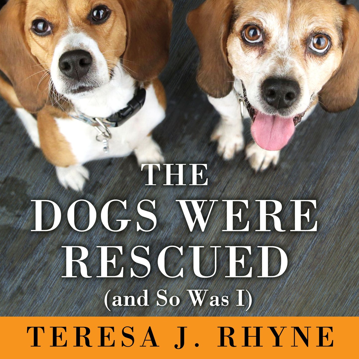 The Dogs Were Rescued (And So Was I)
