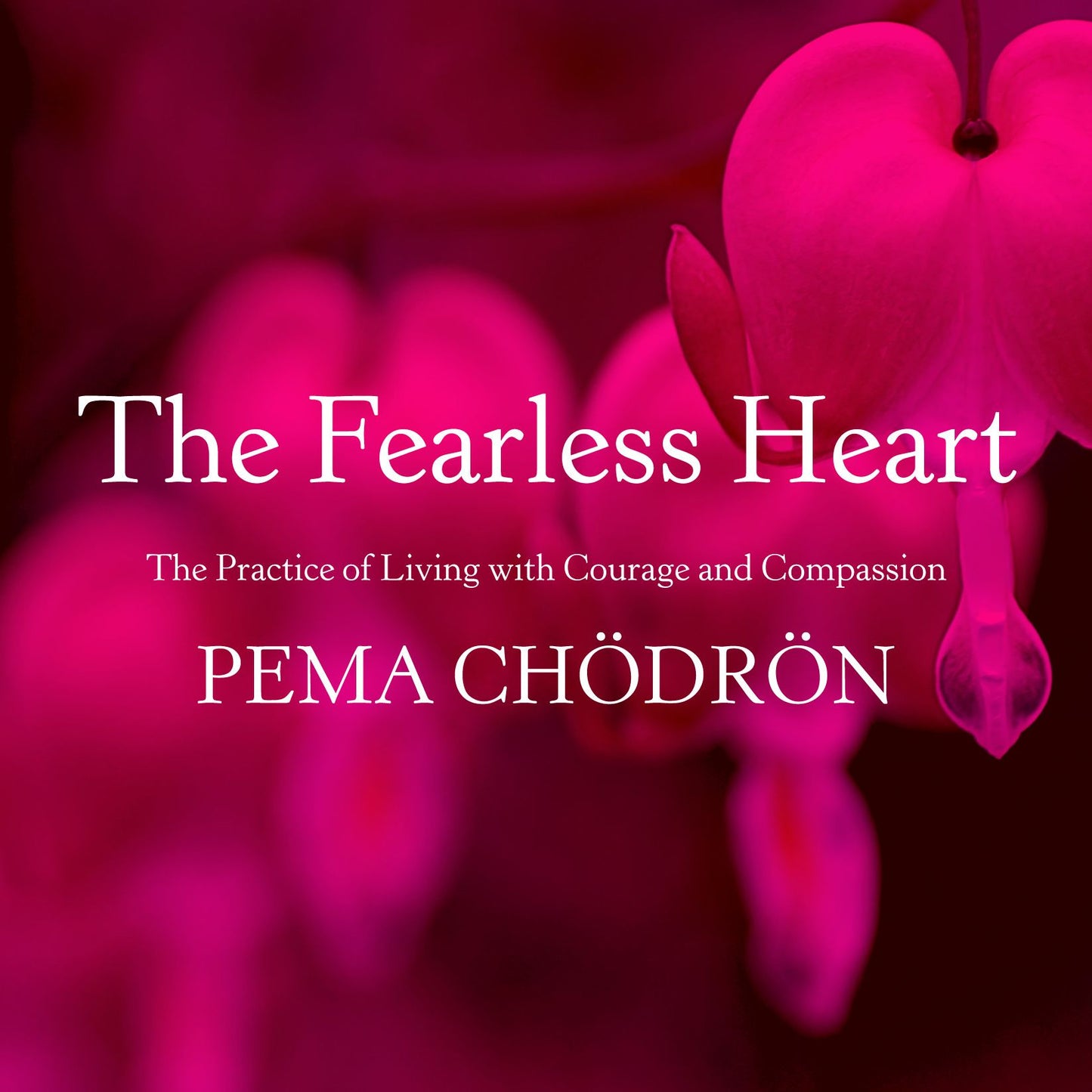 The Fearless Heart: The Practice of Living with Courage and Compassion