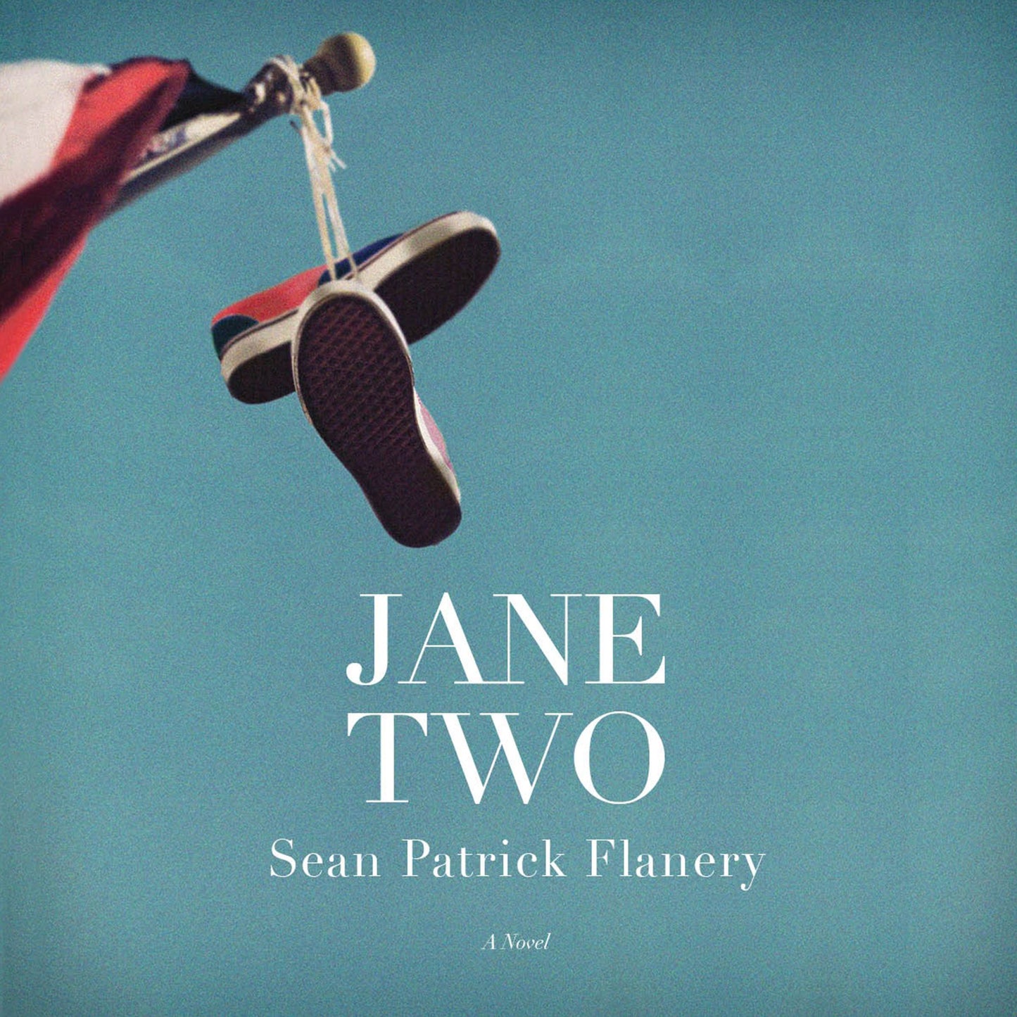 Jane Two: A Novel