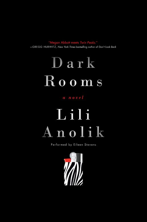 Dark Rooms: A Novel