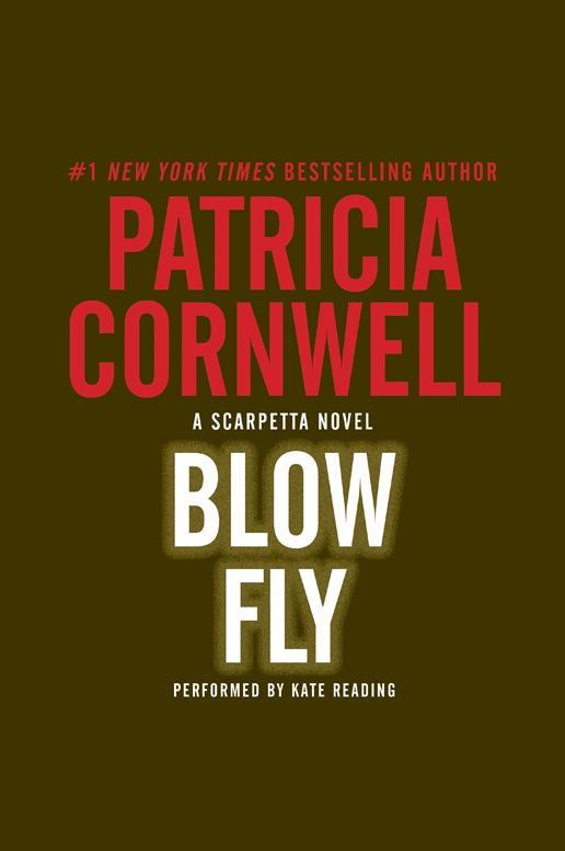 Blow Fly
