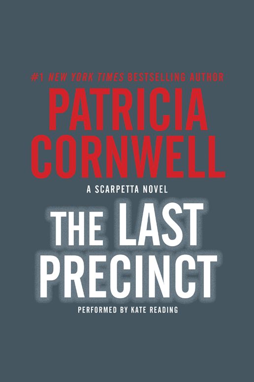 The Last Precinct