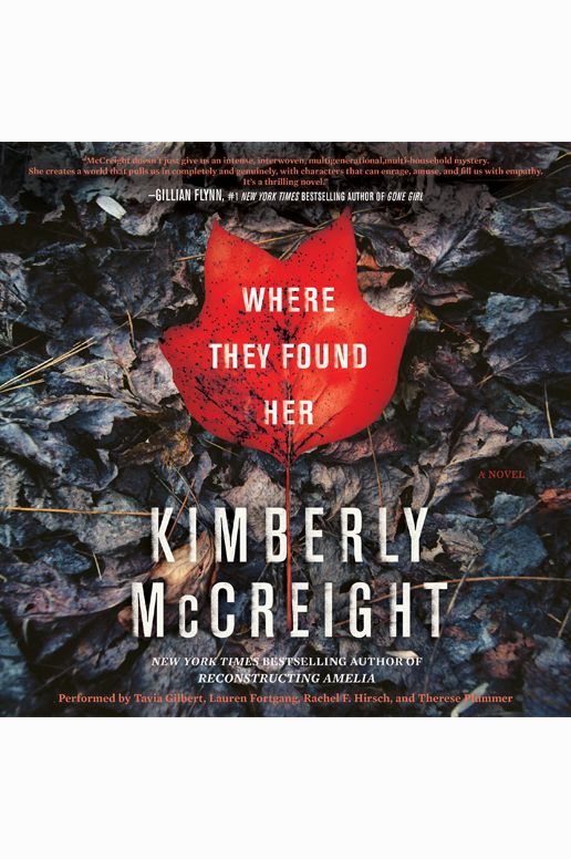Where They Found Her: A Novel