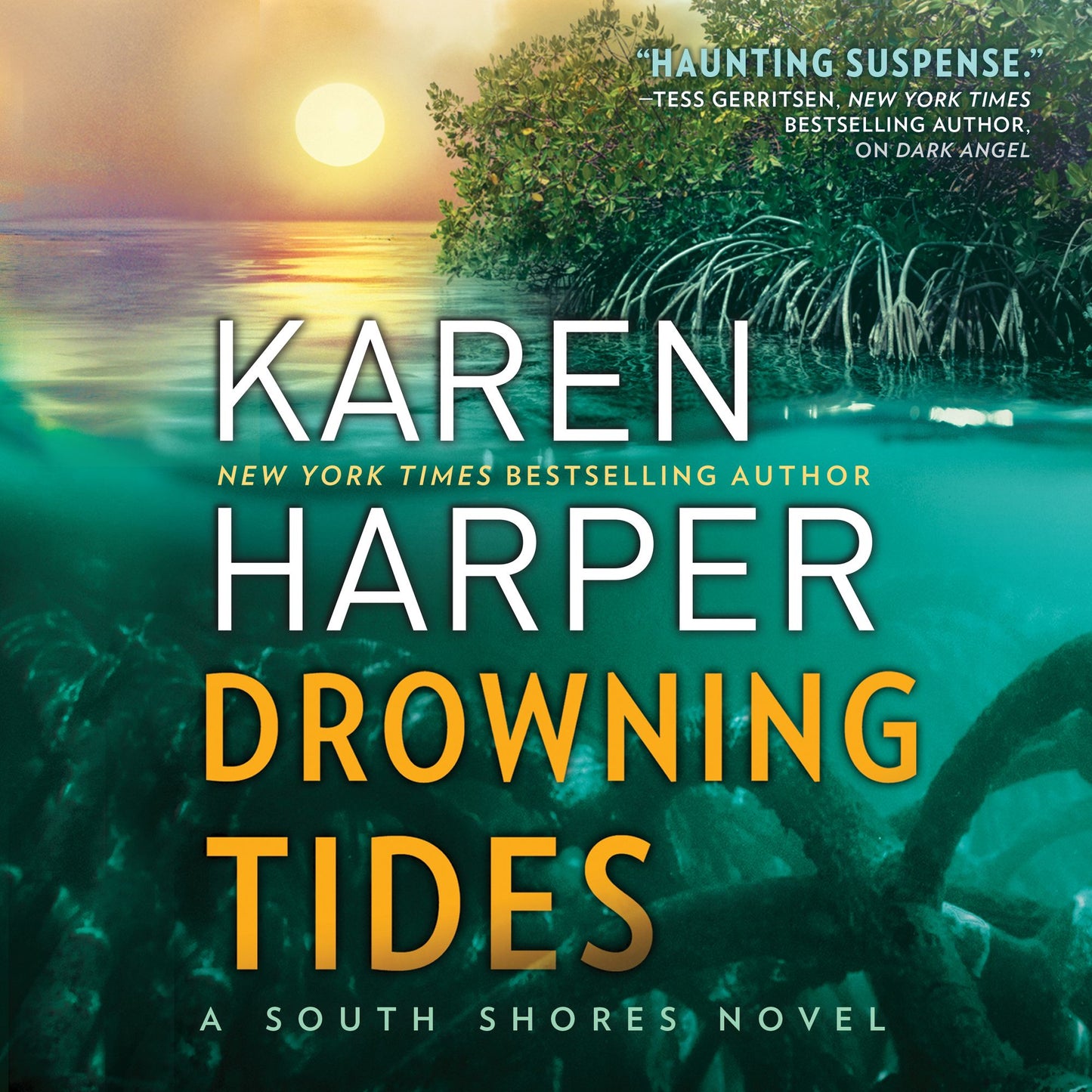 Drowning Tides: South Shores