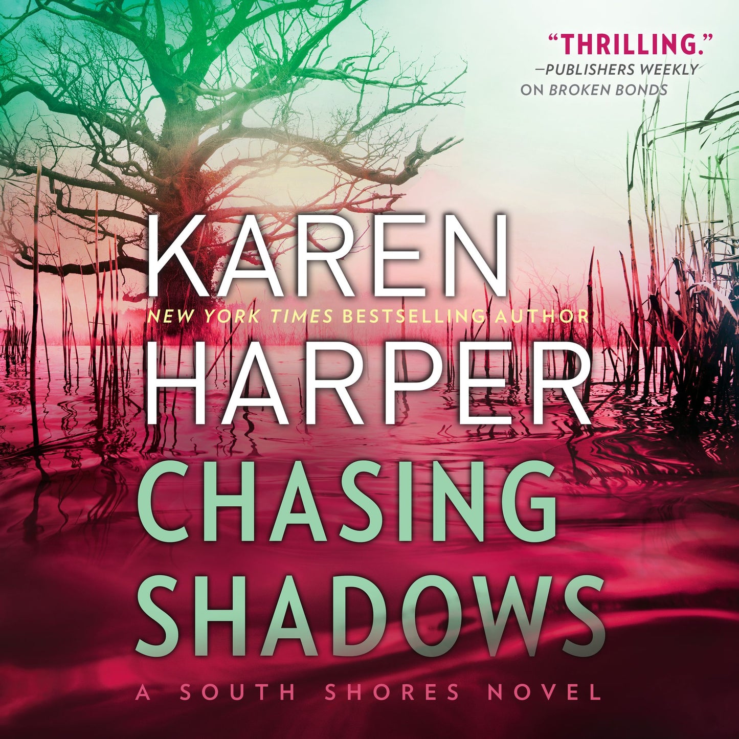 Chasing Shadows: South Shores, Book 1