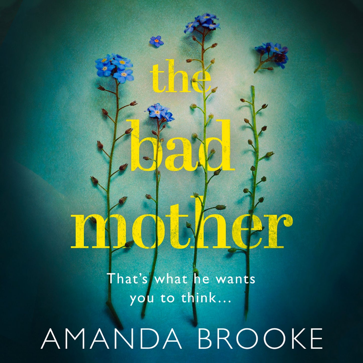 The Bad Mother
