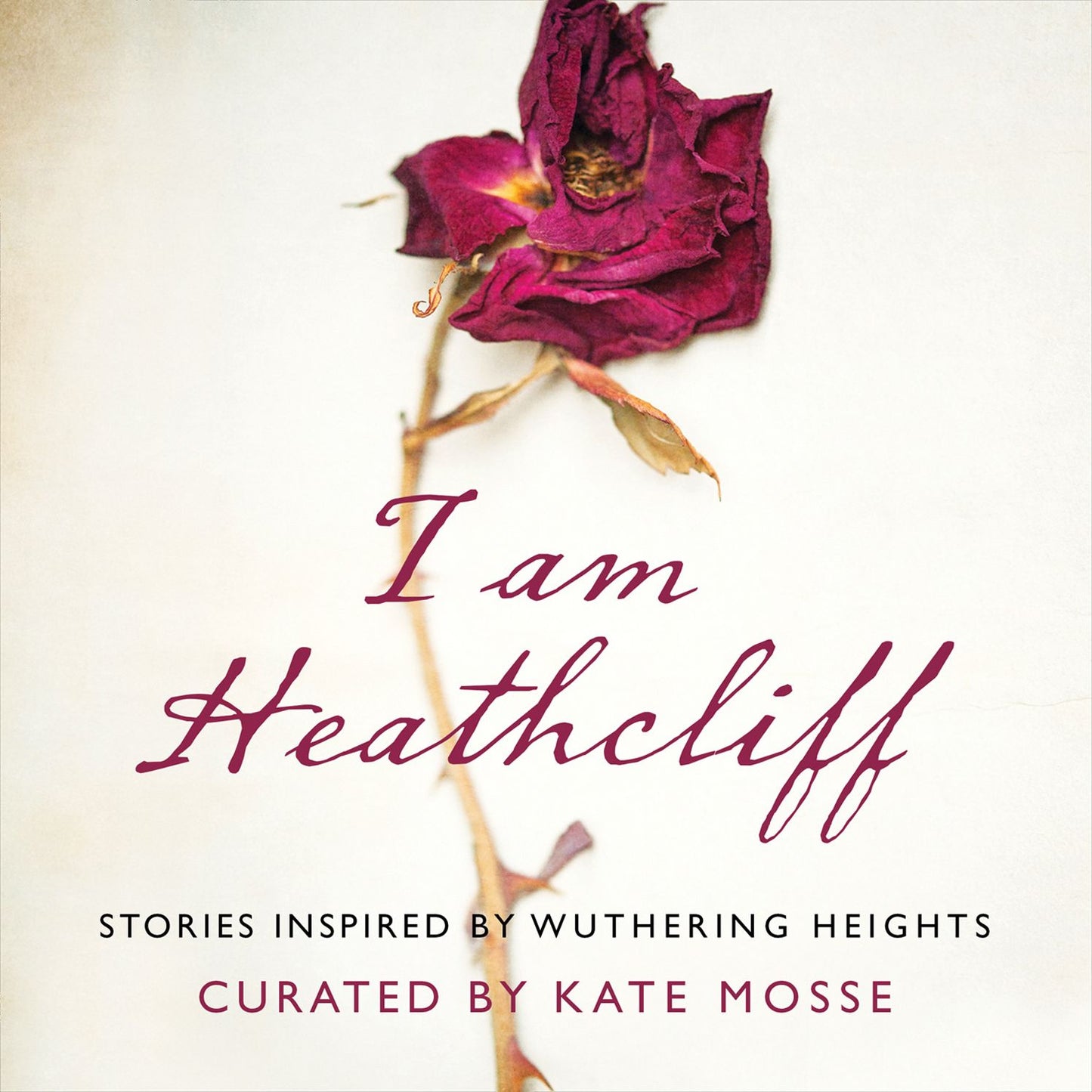 I Am Heathcliff