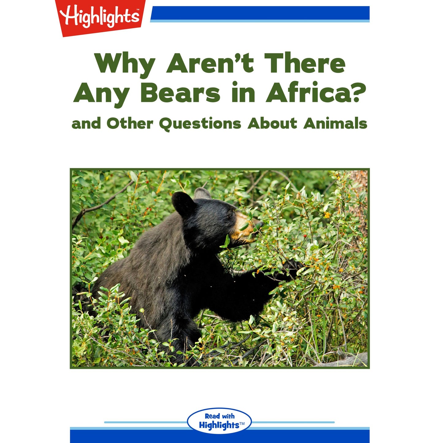 Why Aren't There Any Bears in Africa?: and Other Questions About Animals