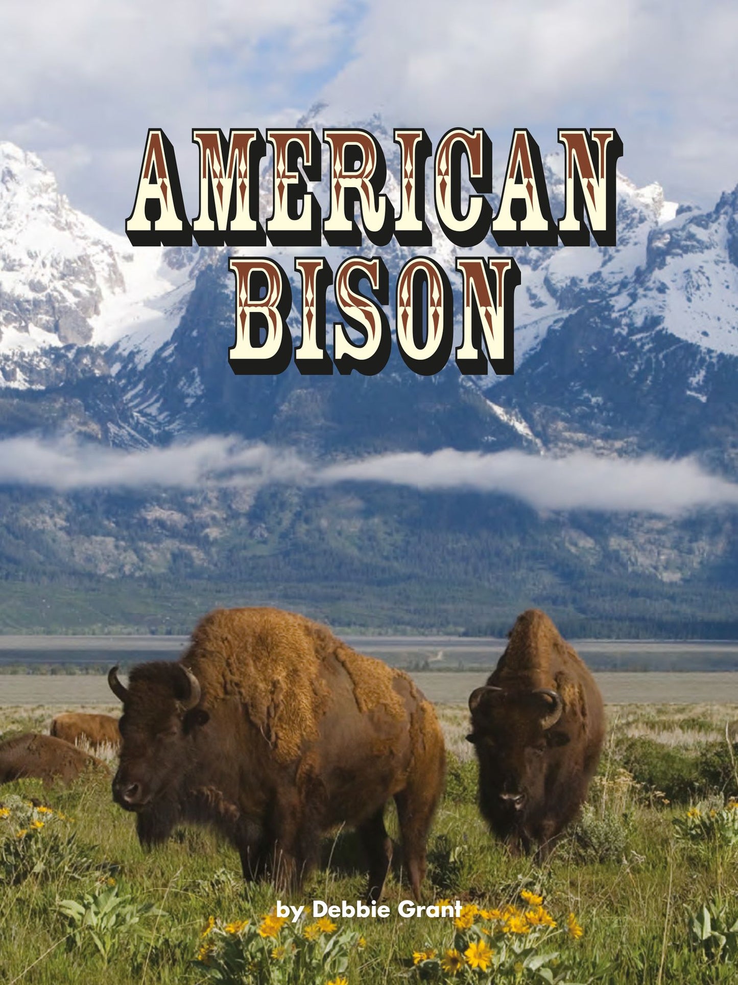 American Bison: Voices Leveled Library Readers