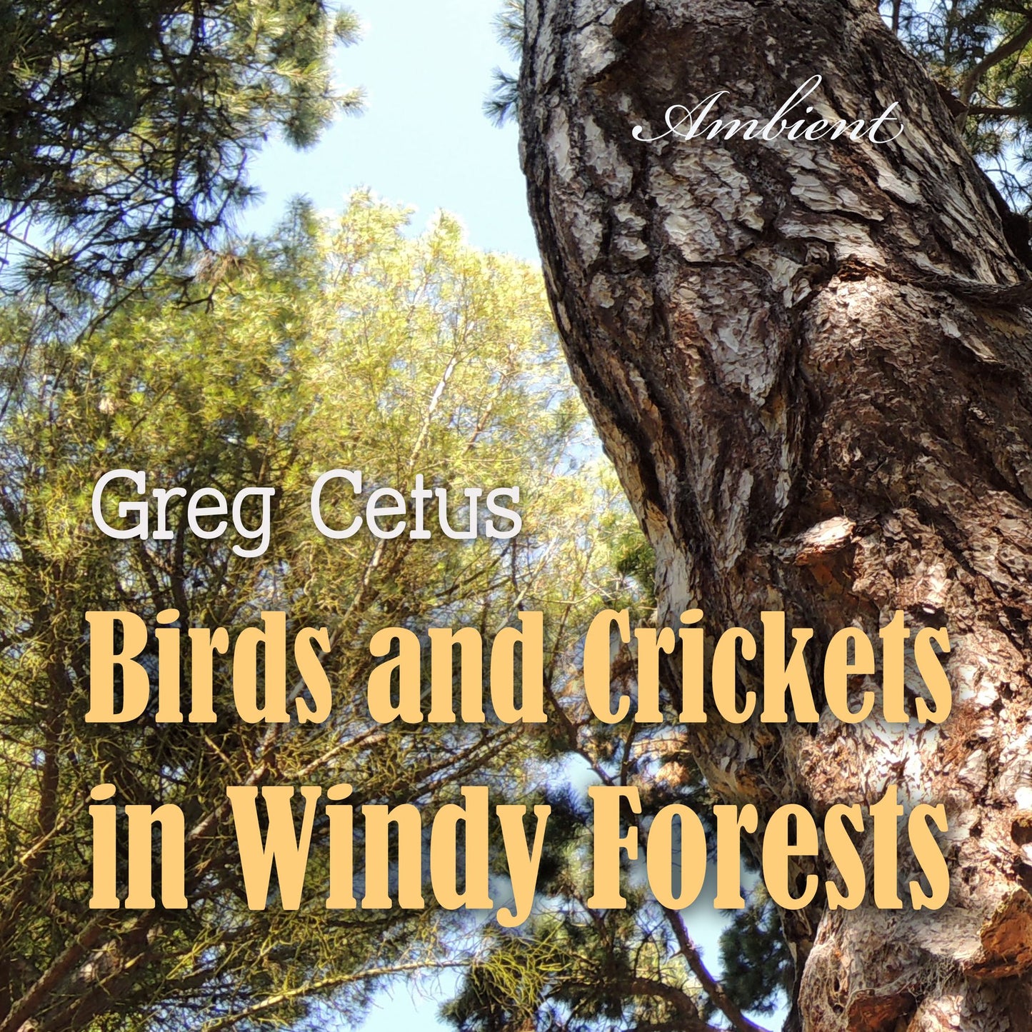 Birds and Crickets in Windy Forests: Productivity Soundscape for Clarity and Relaxation
