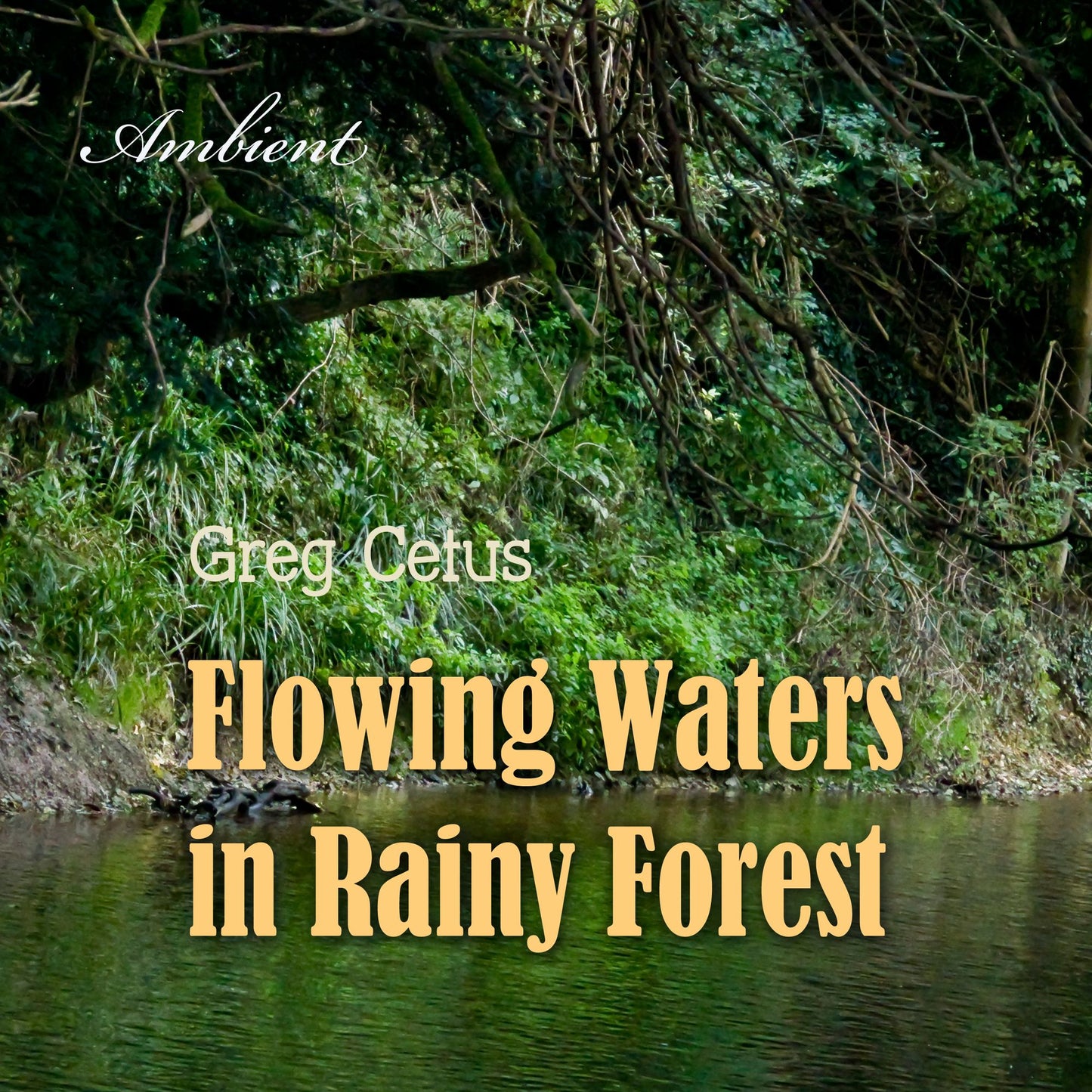 Flowing Waters in Rainy Forest : Ambient Nature Sounds