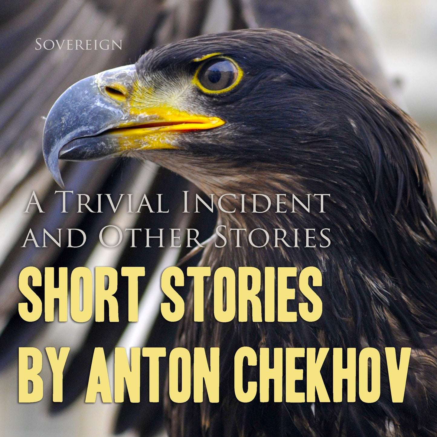 Short Stories by Anton Chekhov, Volume 5: A Trivial Incident and Other Stories