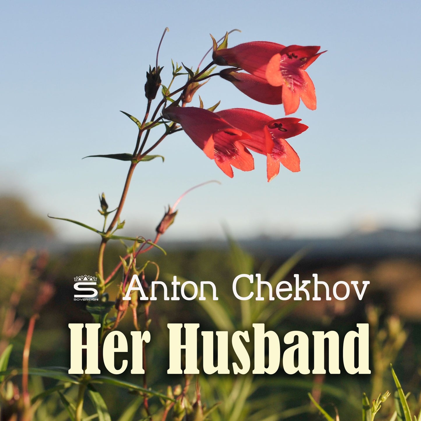 Her Husband