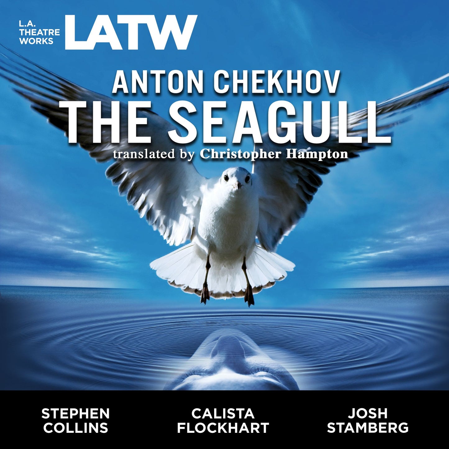 The Seagull