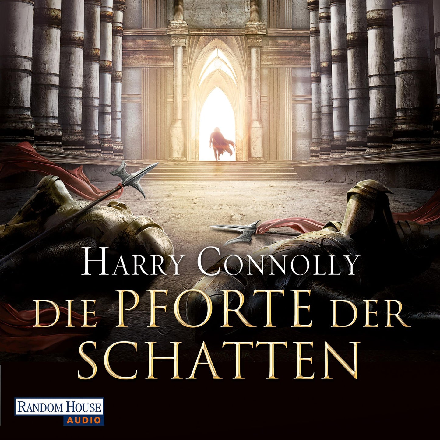 Die Pforte der Schatten: Roman