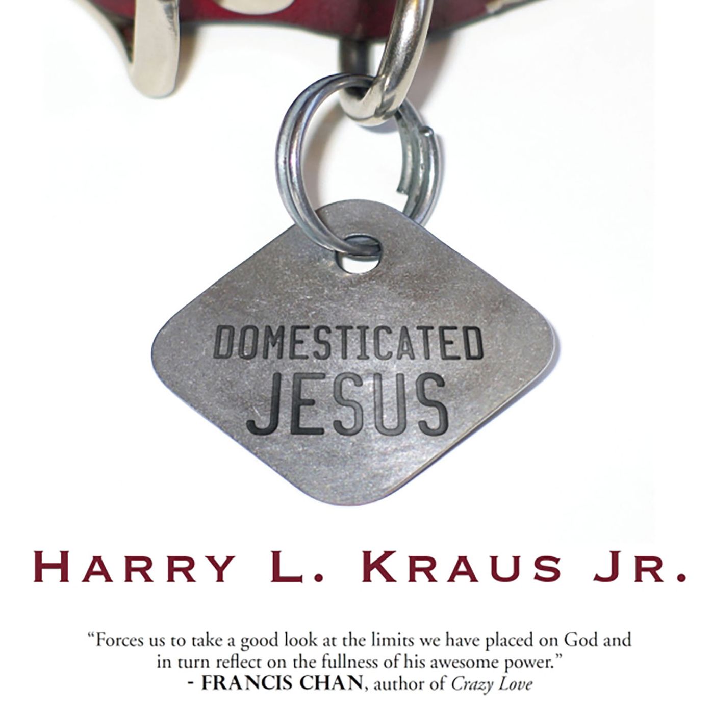 Domesticated Jesus