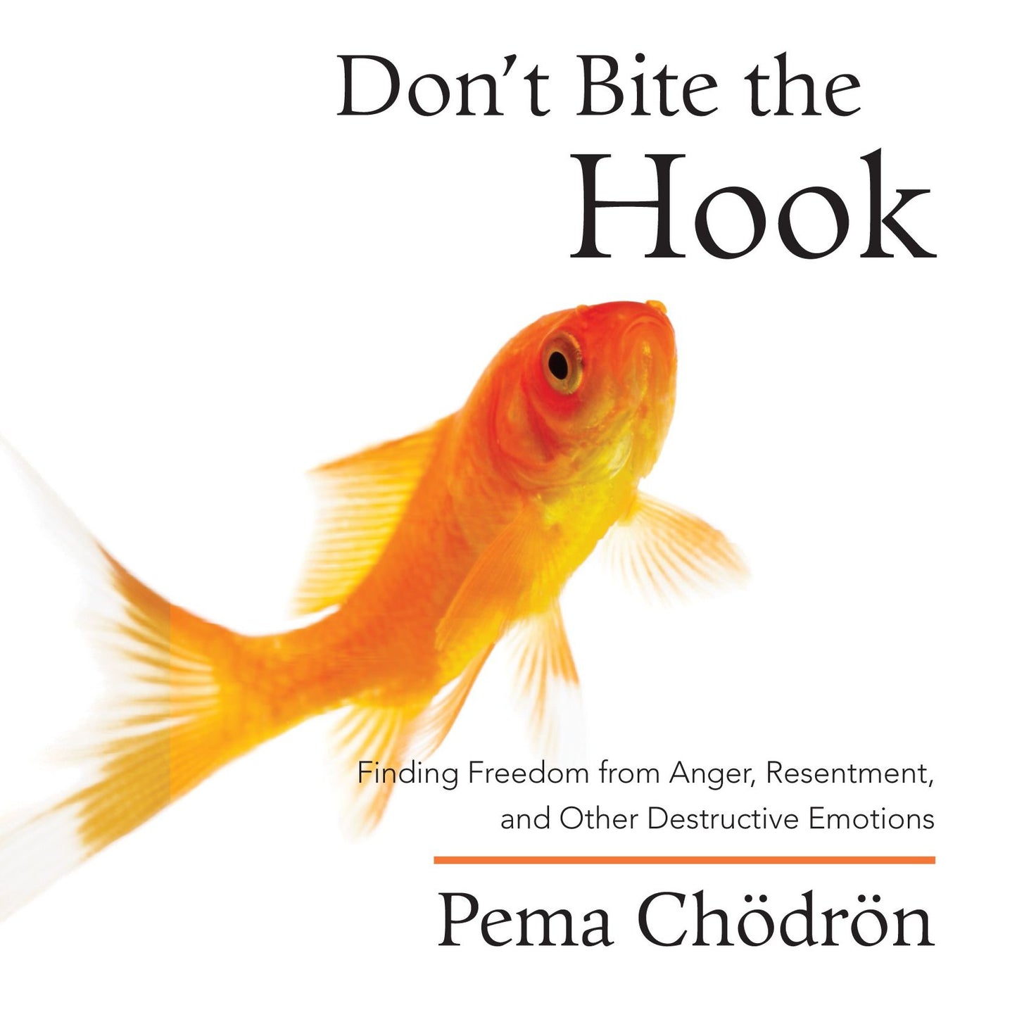 Don't Bite the Hook: Finding Freedom from Anger, Resentment, and Other Destructive Emotions