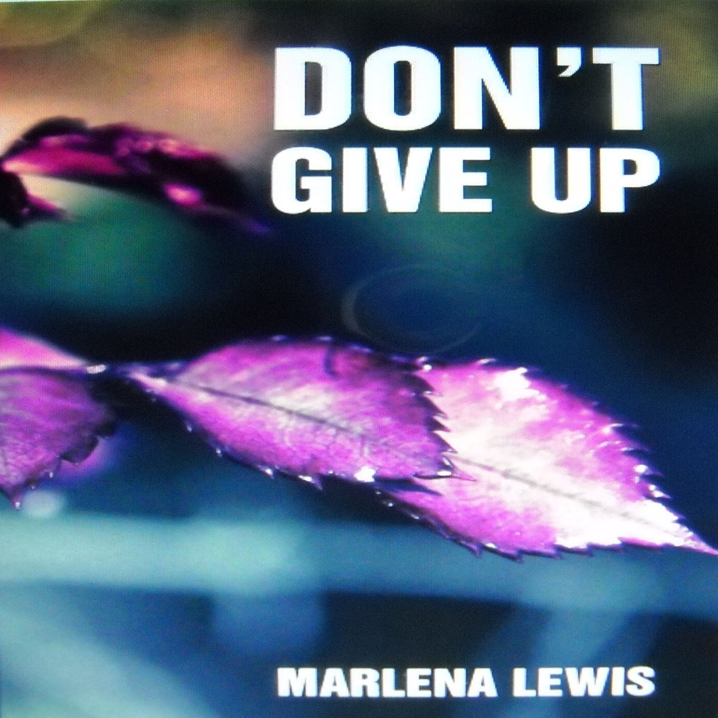 Don't Give Up