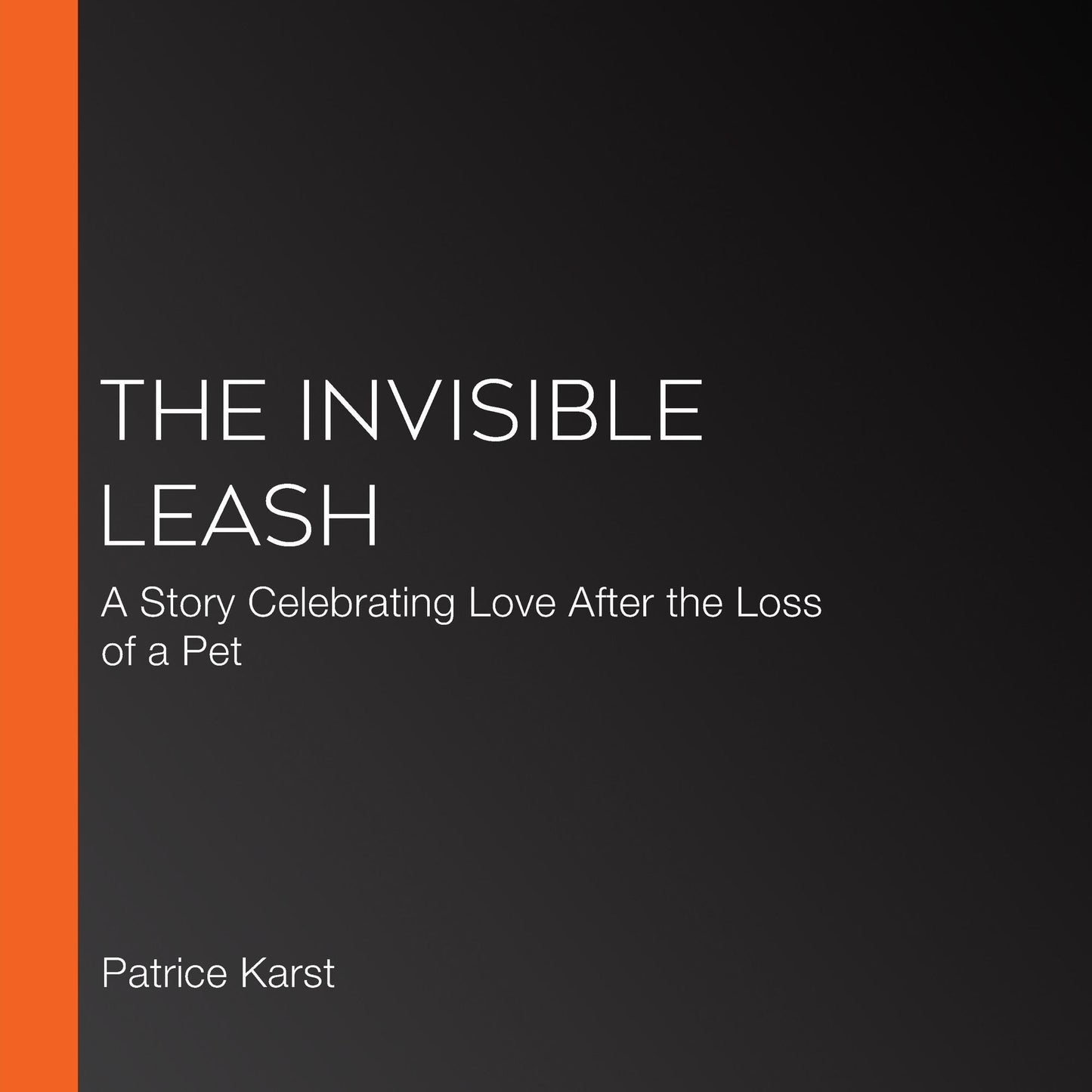 The Invisible Leash: A Story Celebrating Love After the Loss of a Pet