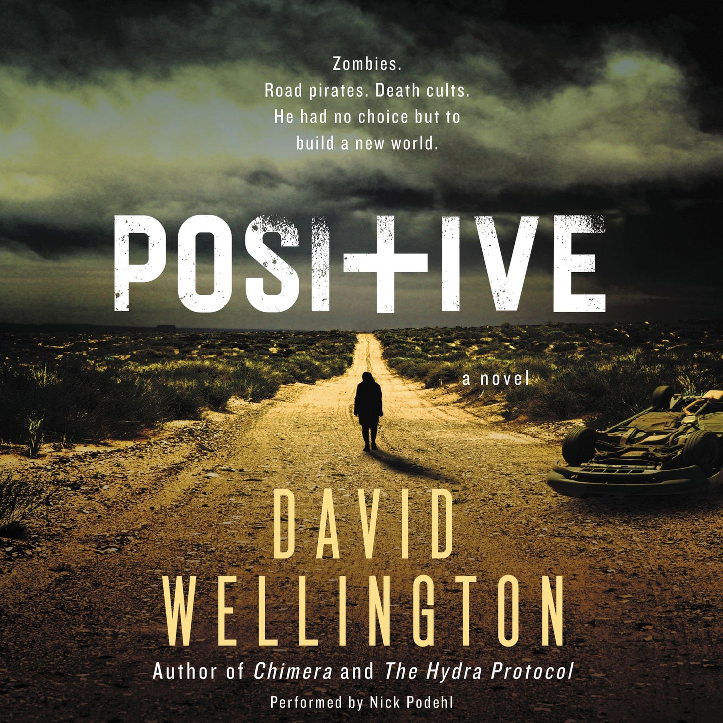 Positive : A Novel