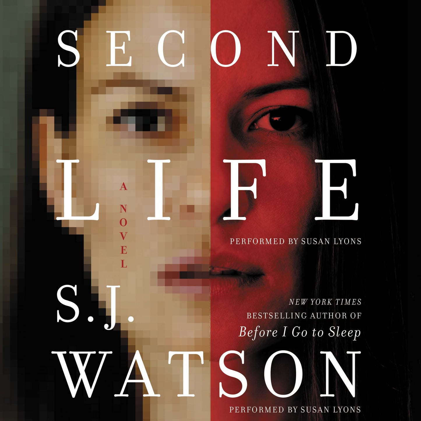 Second Life: A Novel