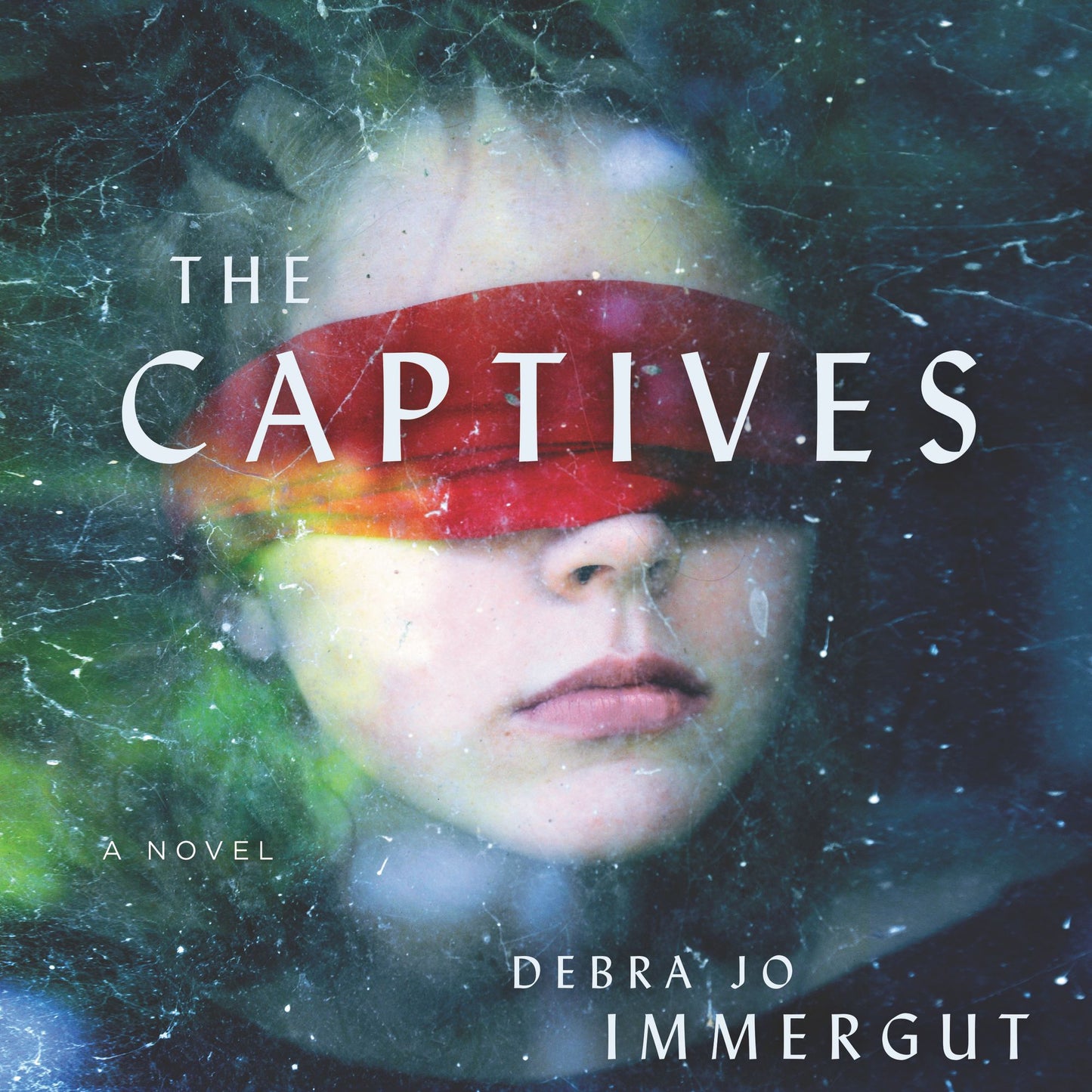 The Captives: A Novel