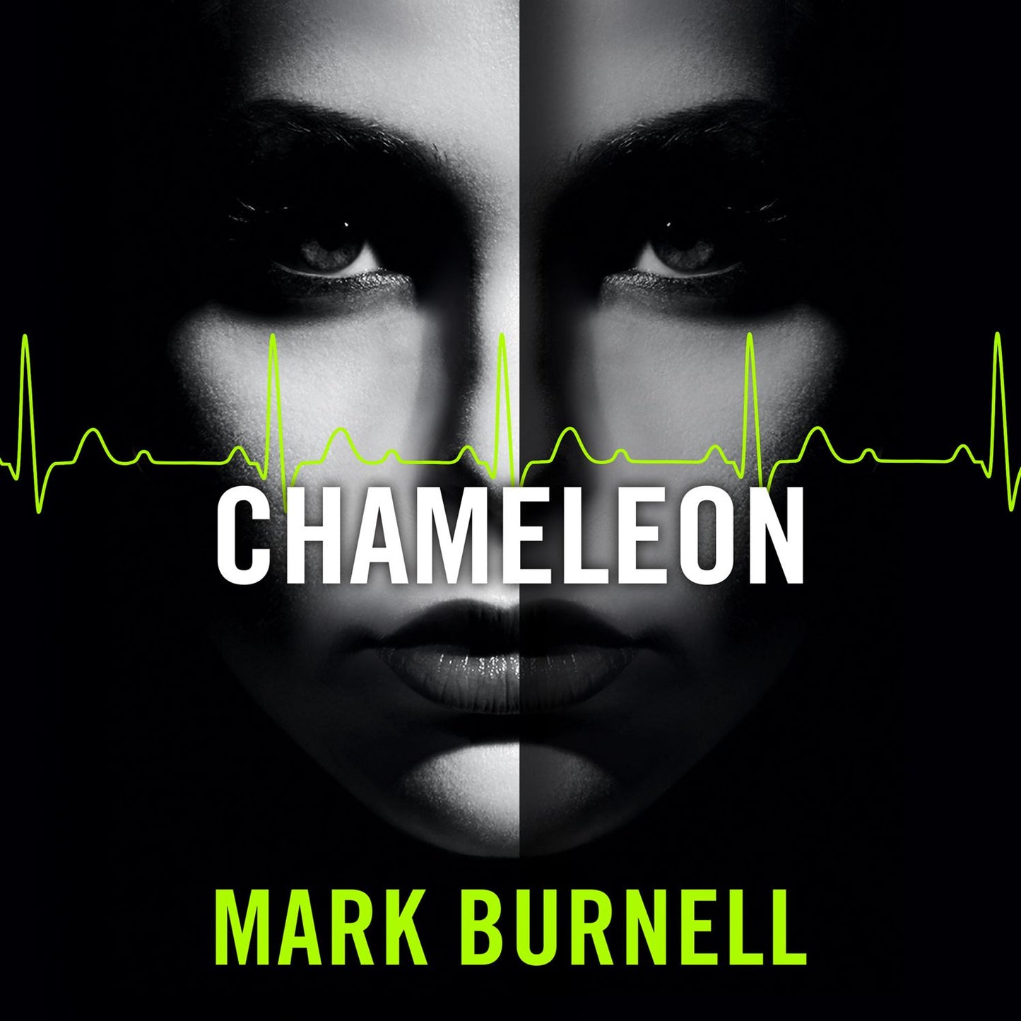 Chameleon (The Stephanie Fitzpatrick series, Book 2): A Stephanie Patrick Thriller