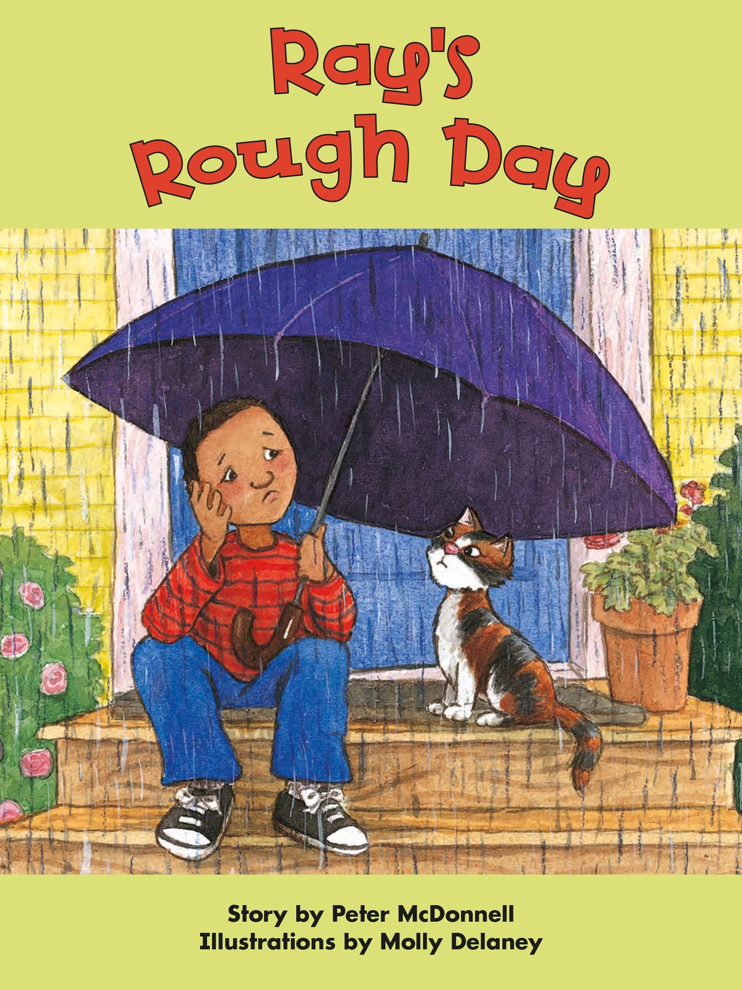 Ray's Rough Day