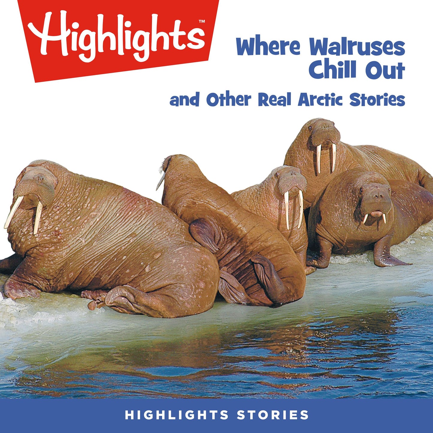 Where Walruses Chill Out: and Other Real Arctic Stories