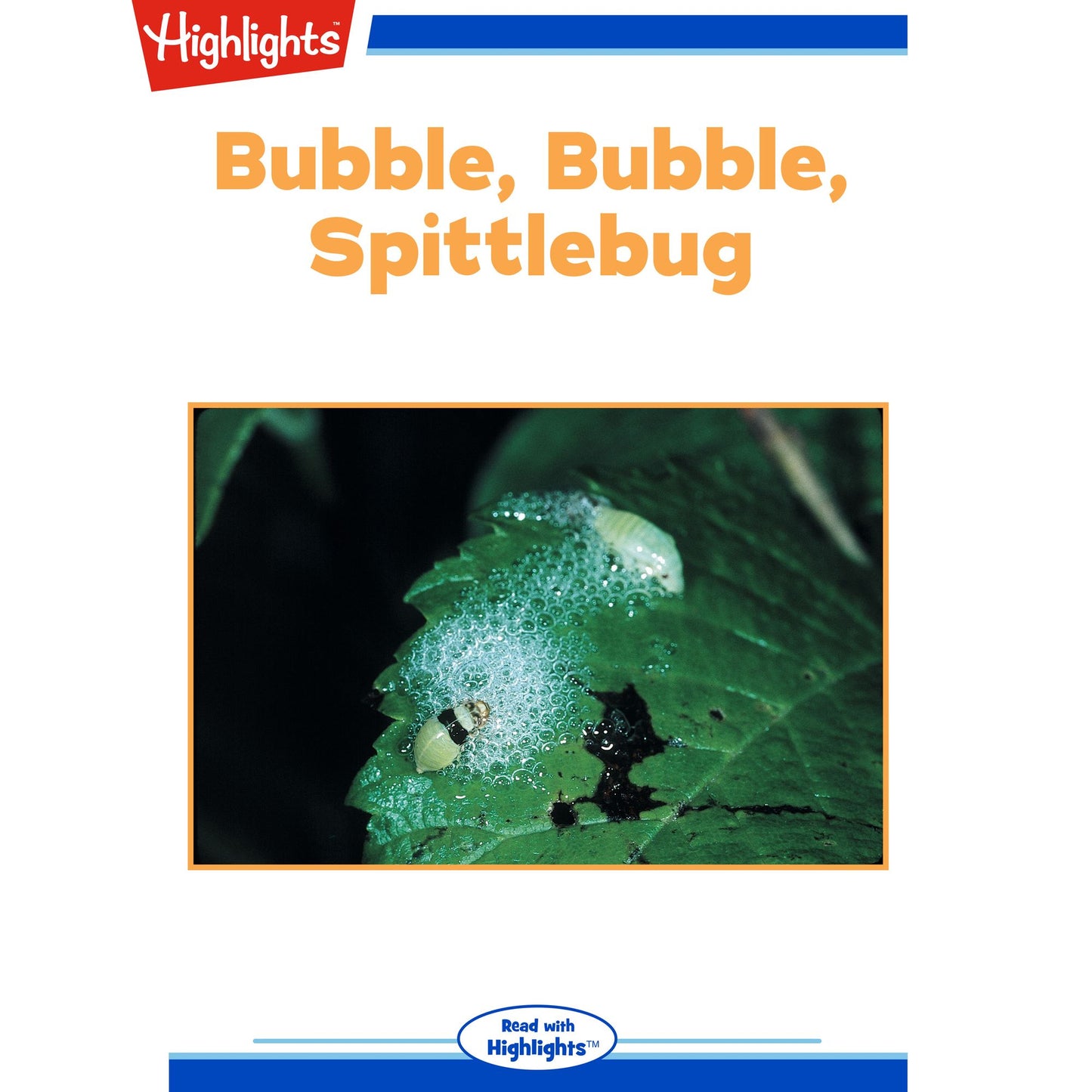 Bubble, Bubble, Spittlebug: Read with Highlights