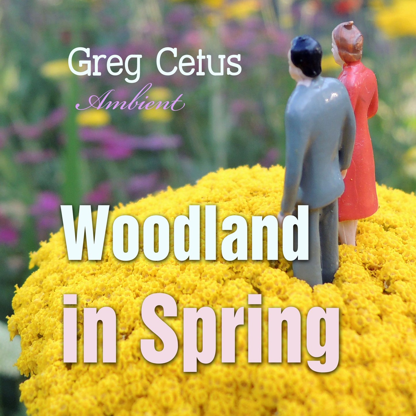 Woodland in Spring : Ambient Soundscape for Mindfulness