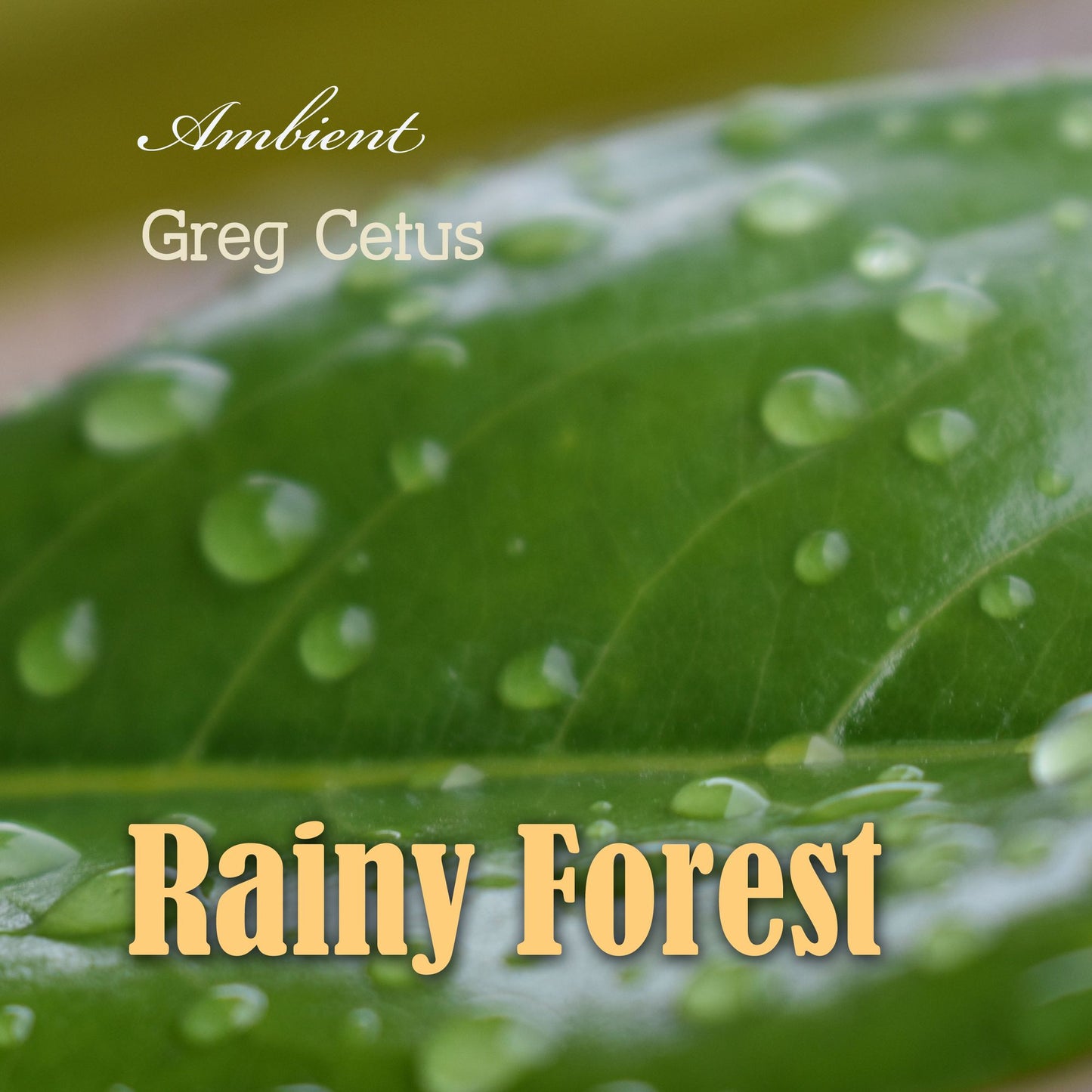 Rainy Forest : Ambient Nature Sounds