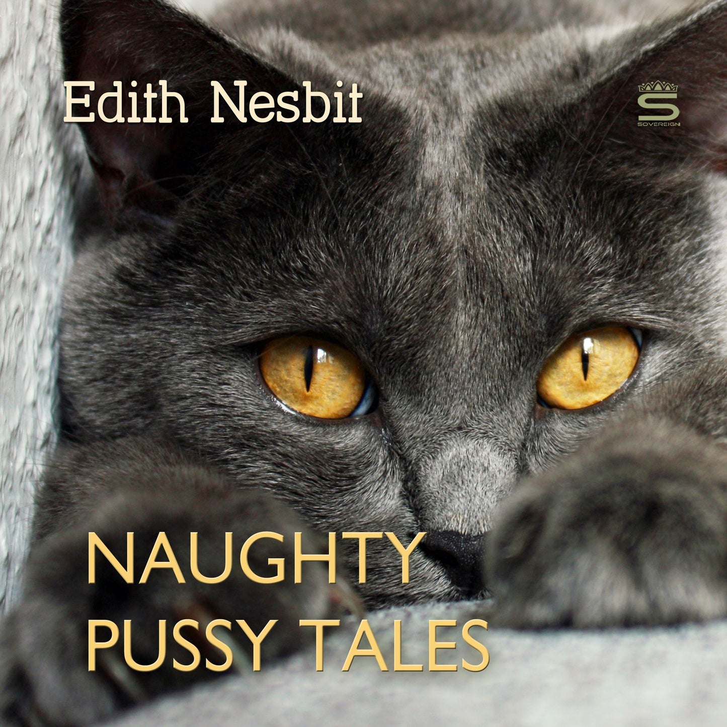 Naughty Pussy Tales