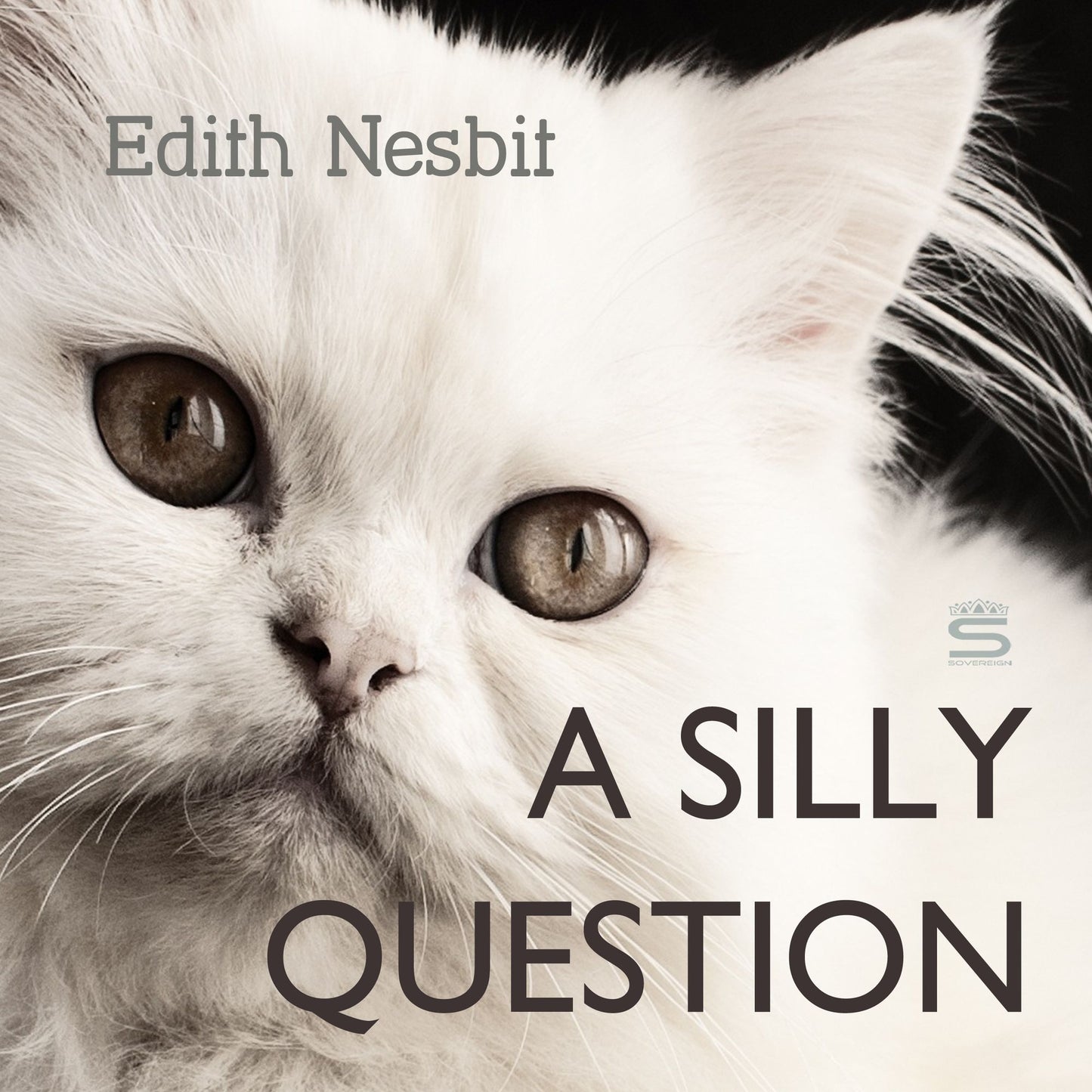 A Silly Question