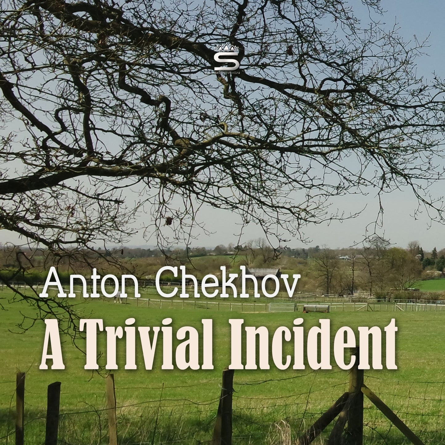 A Trivial Incident