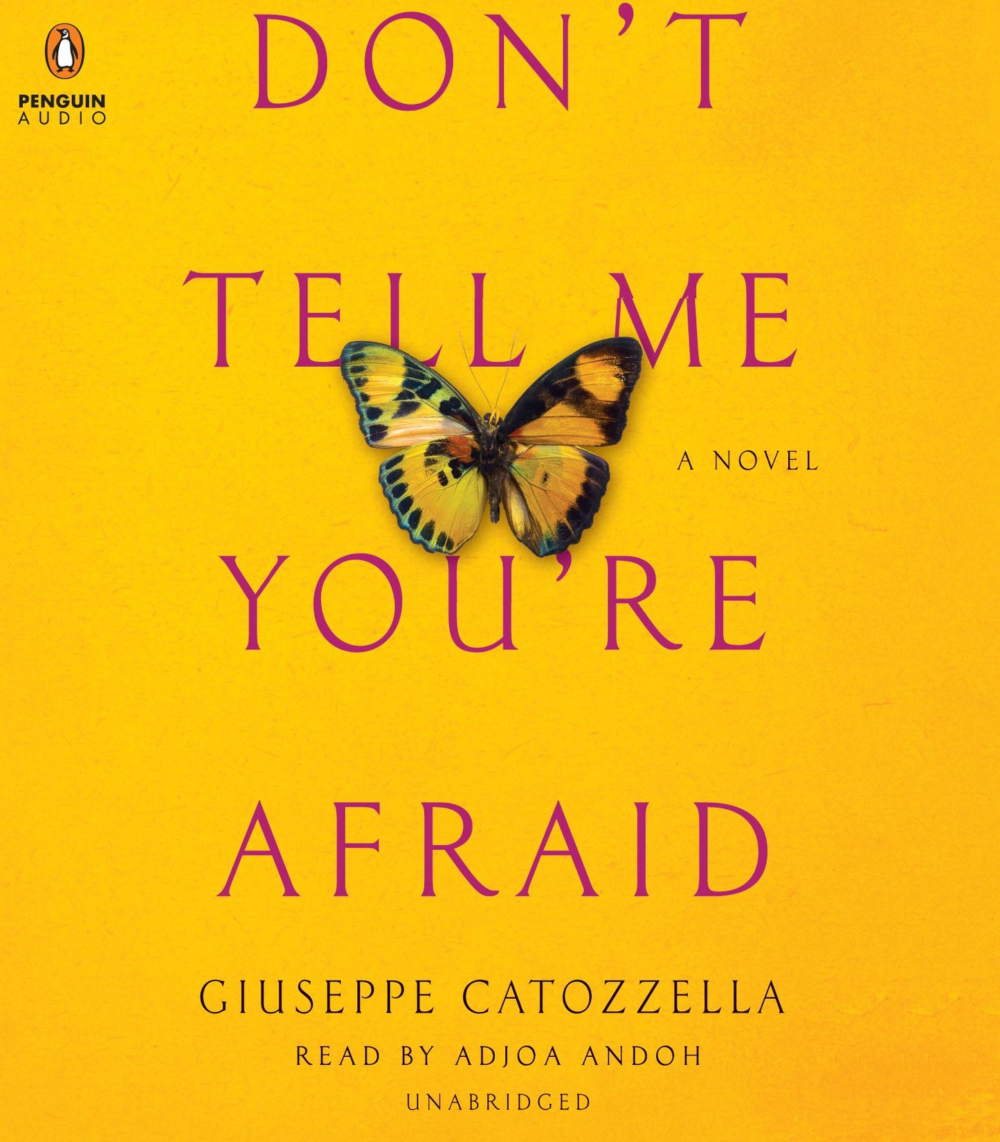 Don't Tell Me You're Afraid: A Novel