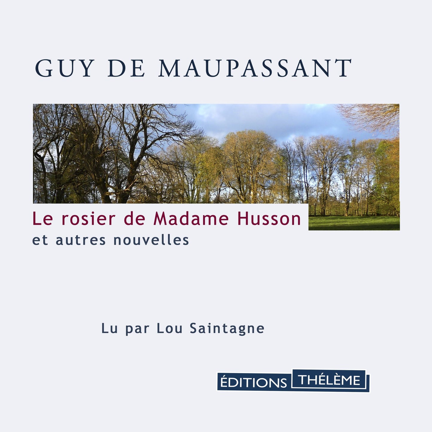 Le rosier de Madame Husson