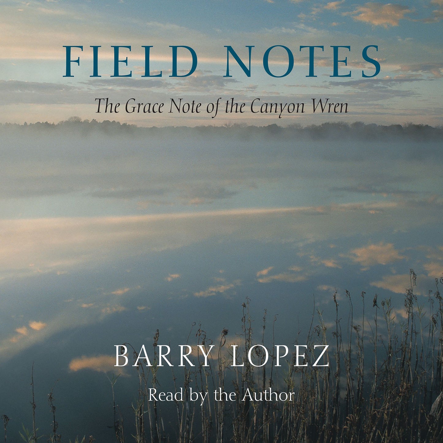 Field Notes: The Grace Note of the Canyon Wren (Abridged)