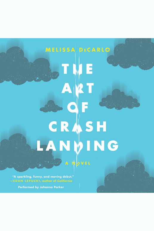 The Art of Crash Landing: A Novel