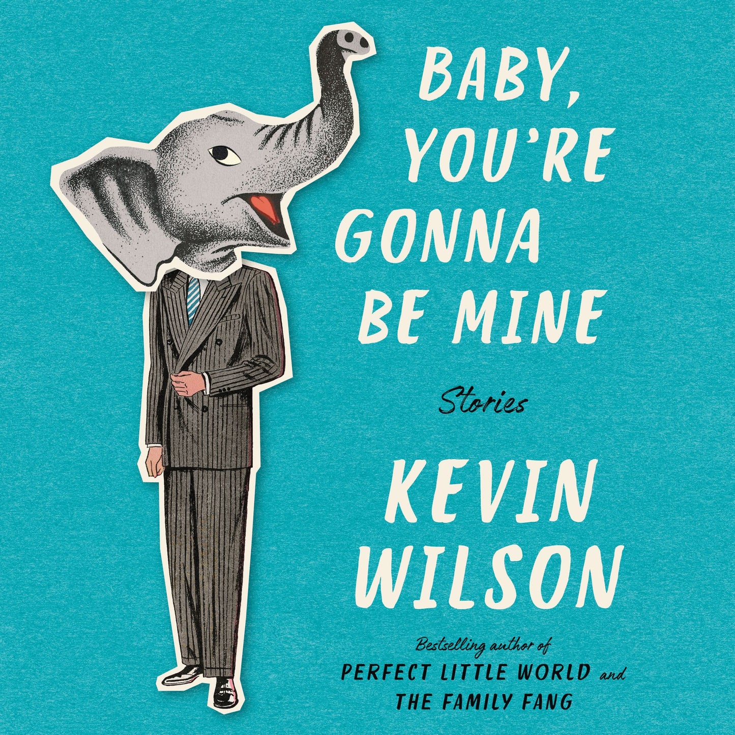 Baby, You're Gonna Be Mine: Stories