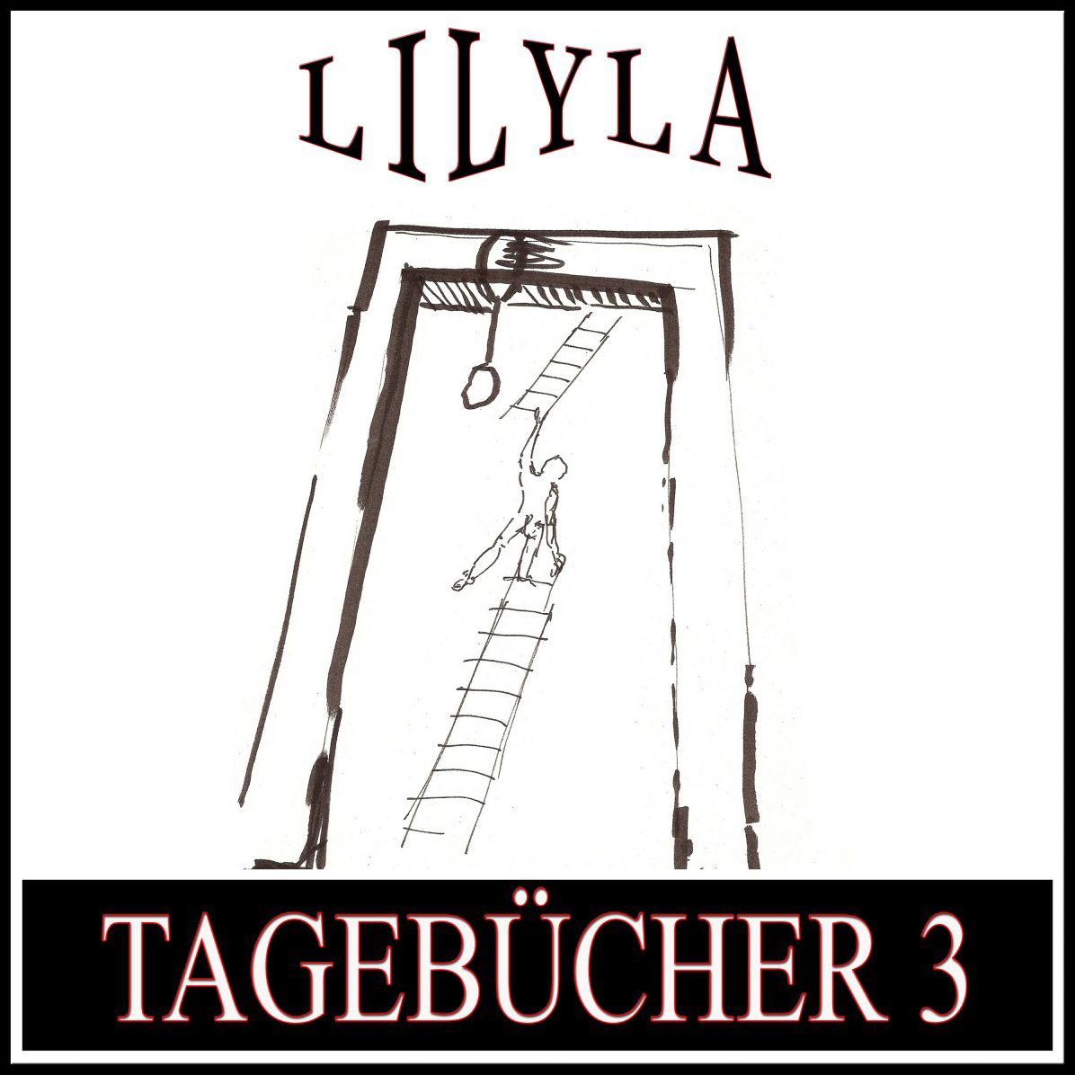 Tagebücher 3: Tagebücher1914, 1916, 1917-1923