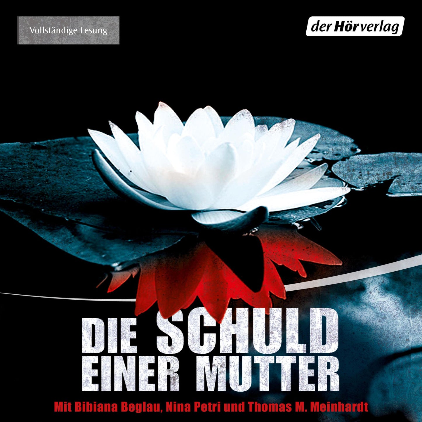 Die Schuld einer Mutter: Psychothriller